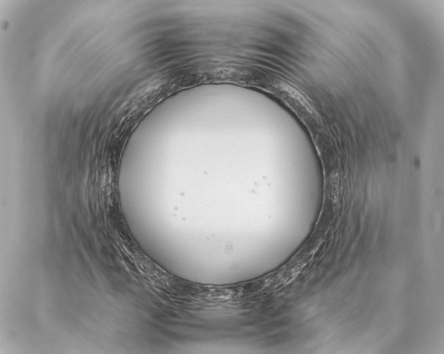 X0000086991111200705141734