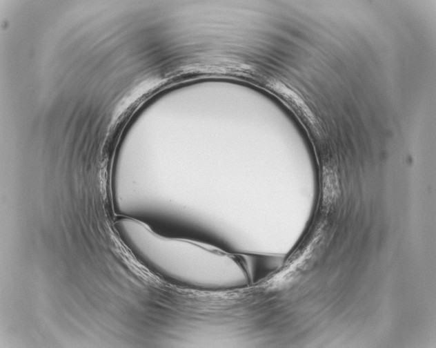 X0000086991114200705141734