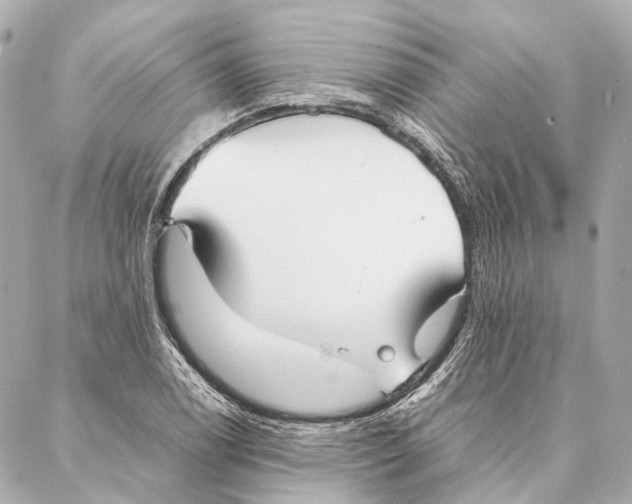X0000086991122200705141734