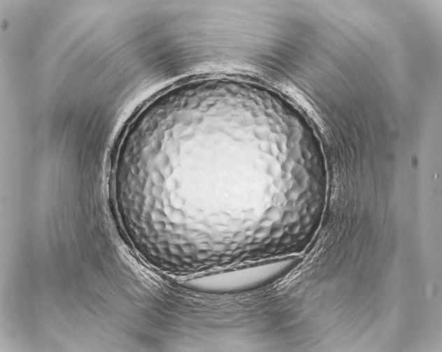 X0000086991124200705141734