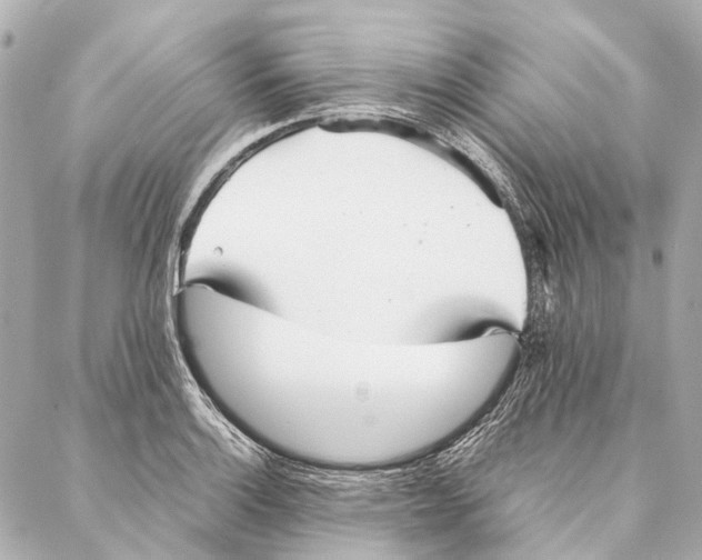 X0000086991132200705141734