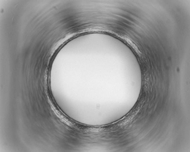 X0000086991134200705141734