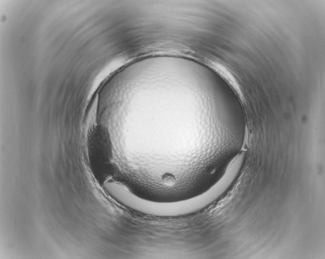 X0000086991146200705141734