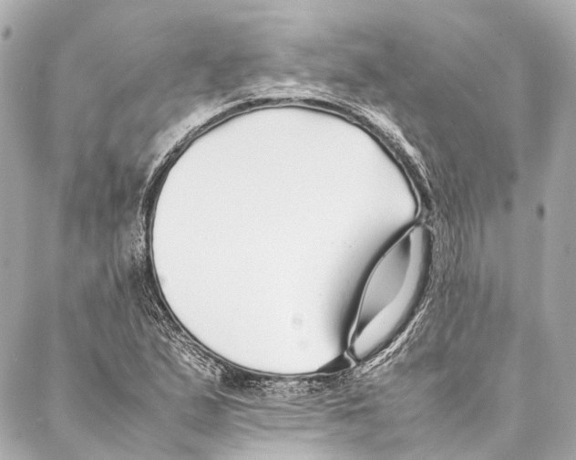X0000086991167200705141733