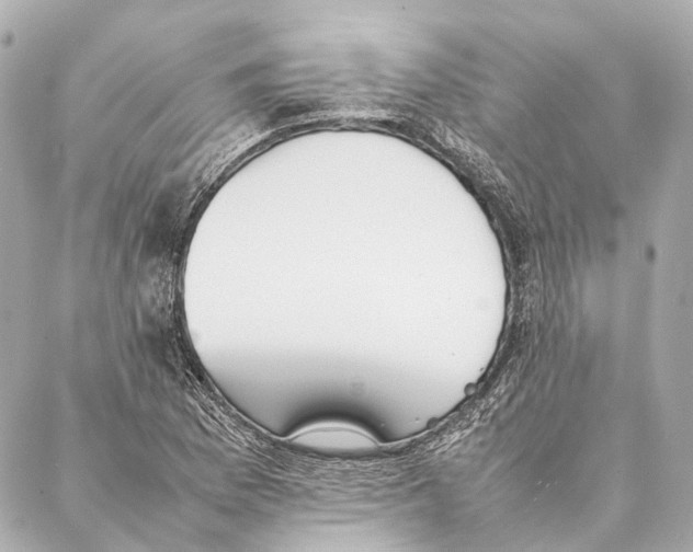 X0000086991169200705141733