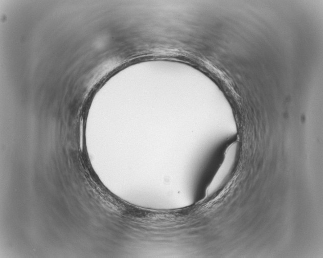 X0000086991171200705141733