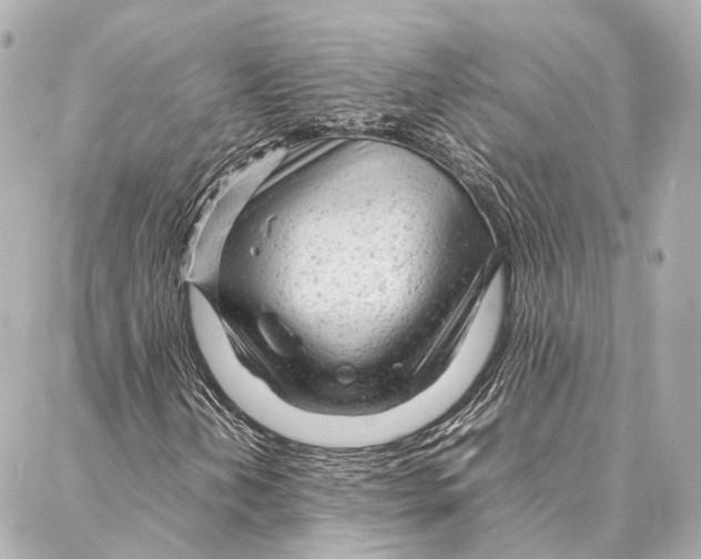 X0000086991202200705141732