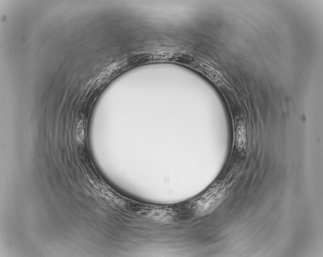 X0000086991204200705141732