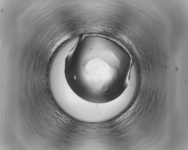 X0000086991210200705141732