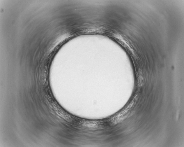 X0000086991211200705141732