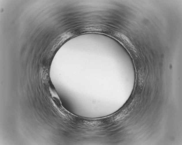 X0000086991225200705141732