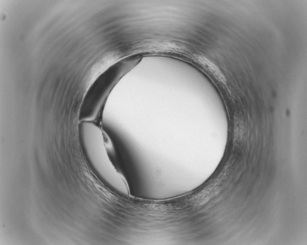 X0000086991226200705141732