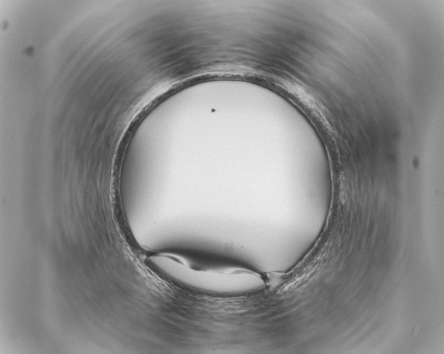 X0000086991229200705141733