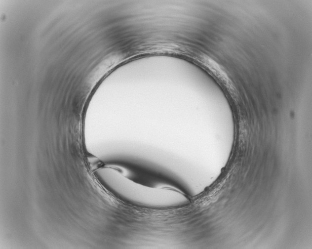 X0000086991234200705141733