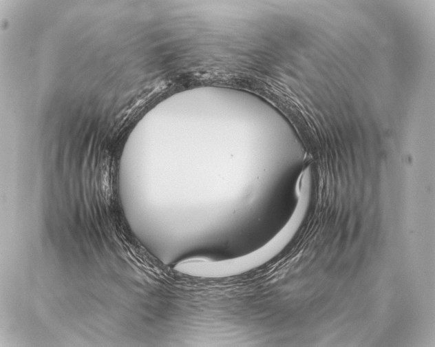X0000086991250200705141732