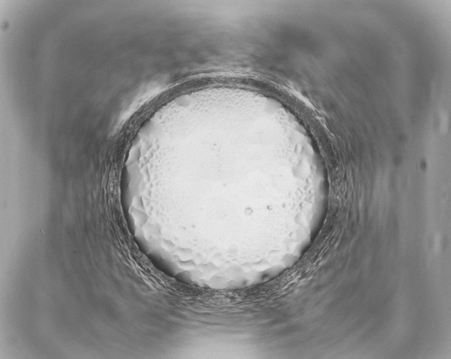 X0000086991255200705141732