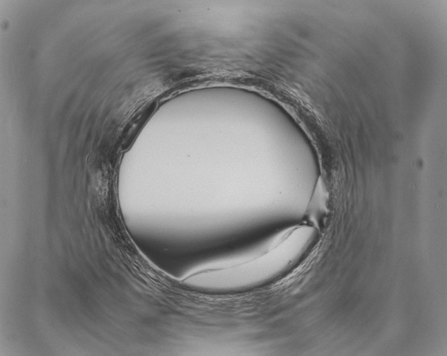 X0000086991257200705141732