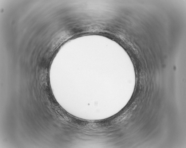 X0000086991265200705141732