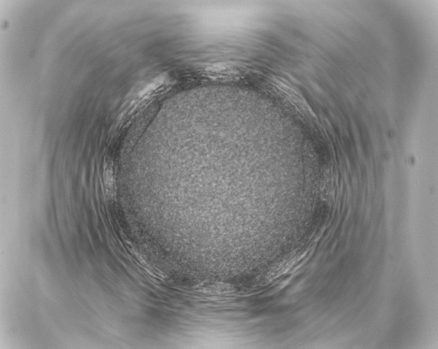 X0000086991298200705141731