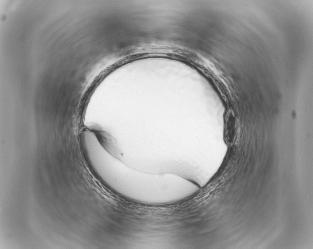 X0000086991312200705141731