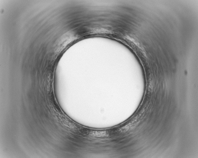 X0000086991313200705141731