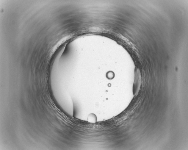 X0000086991314200705141731