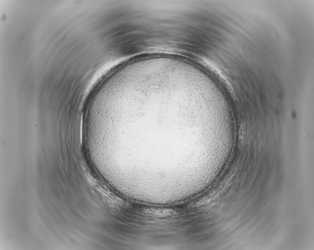 X0000086991323200705141731