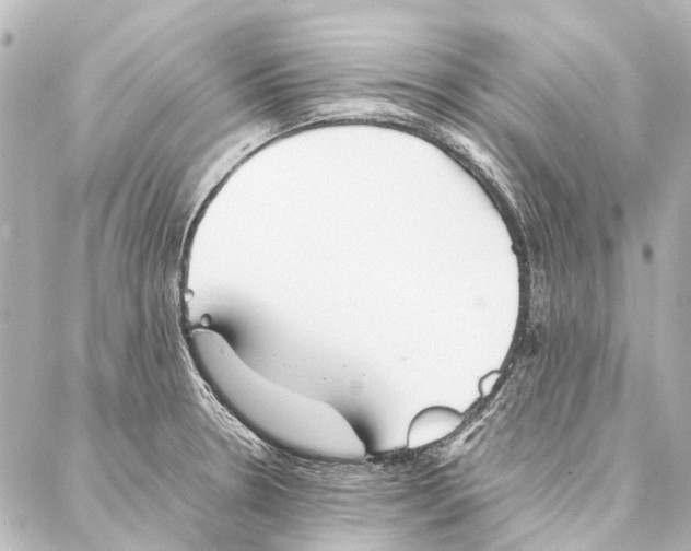 X0000086991330200705141731