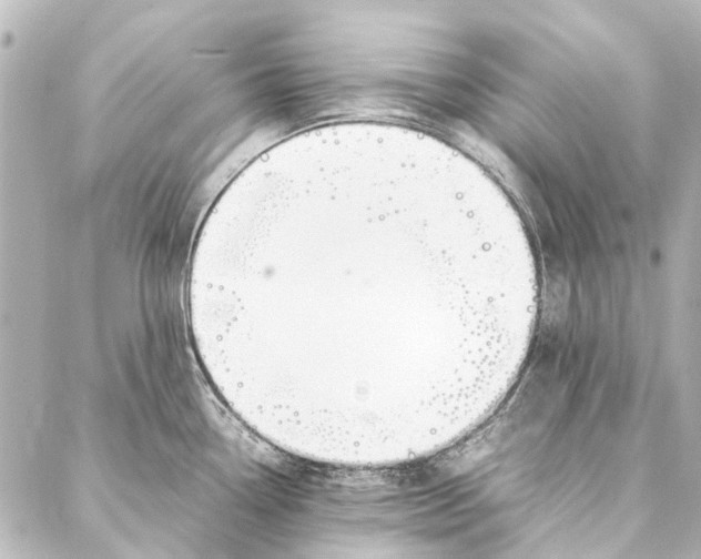 X0000086991338200705141731