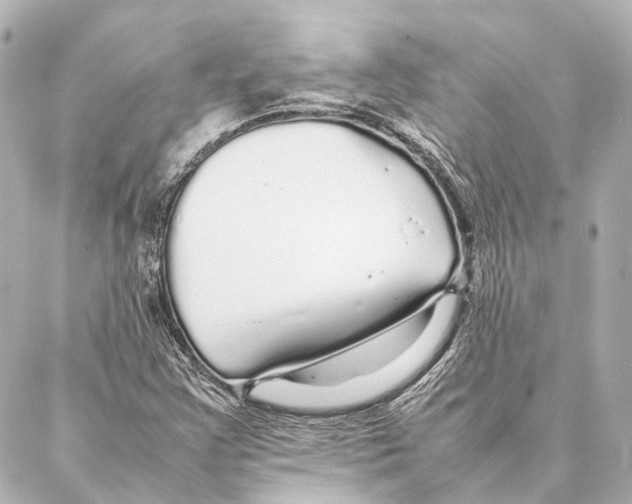 X0000086991355200705141730