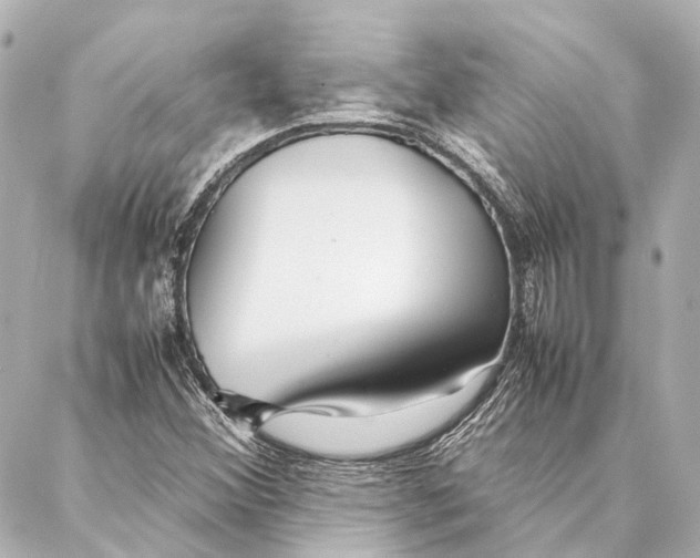 X0000086991356200705141730