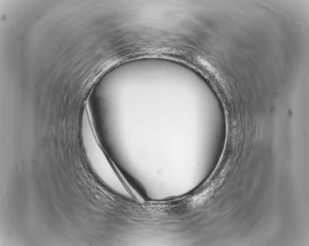 X0000086991361200705141730