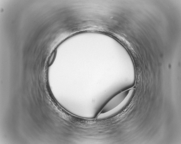 X0000086991375200705141730