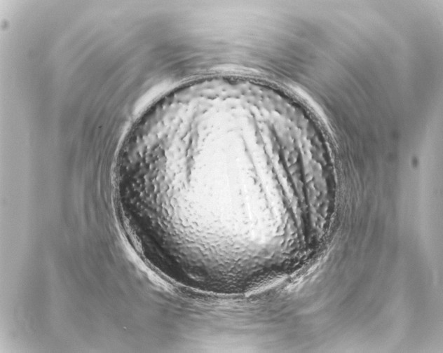 X0000086991381200705141730