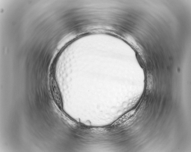 X0000086991384200705141730