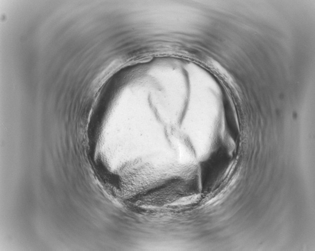 X0000086991385200705141730