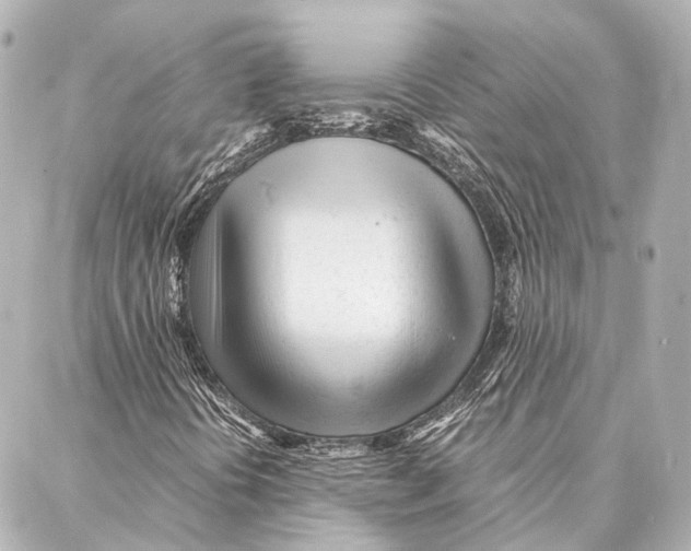 X0000086991394200705141729