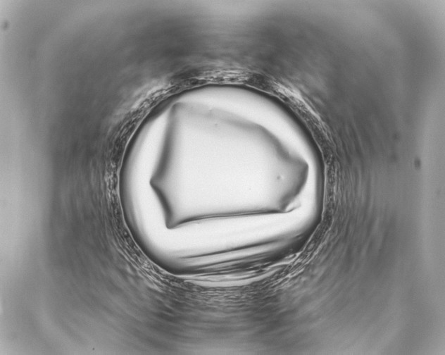X0000086991399200705141729