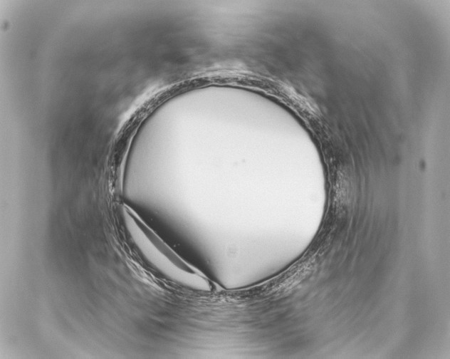 X0000086991400200705141729