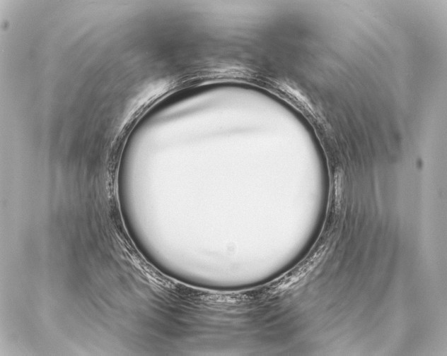 X0000086991405200705141729