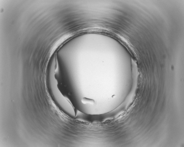 X0000086991418200705141729