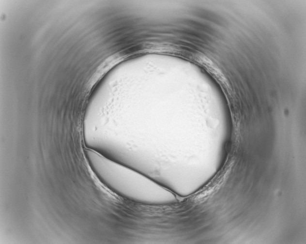 X0000086991425200705141729