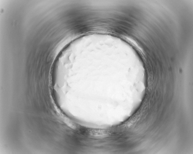 X0000086991431200705141730