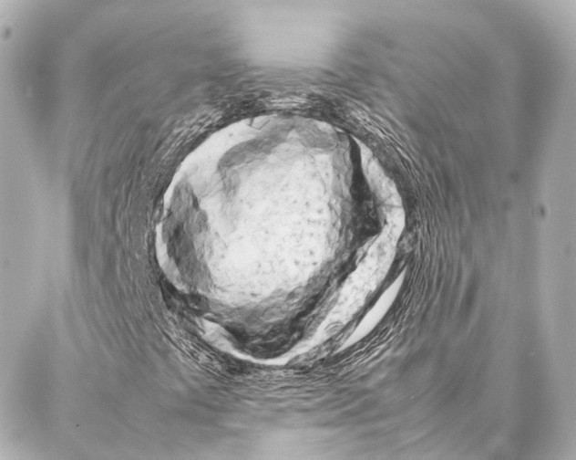 X0000086991441200705141729