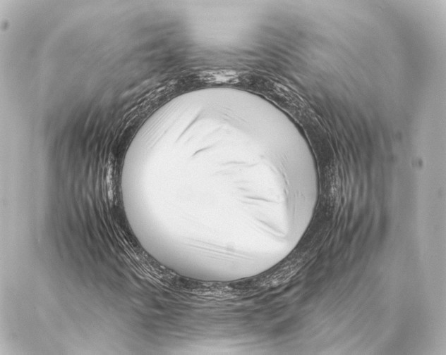 X0000086991442200705141729
