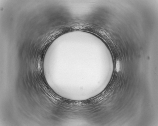 X0000086991444200705141729