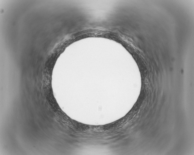 X0000086991447200705141729
