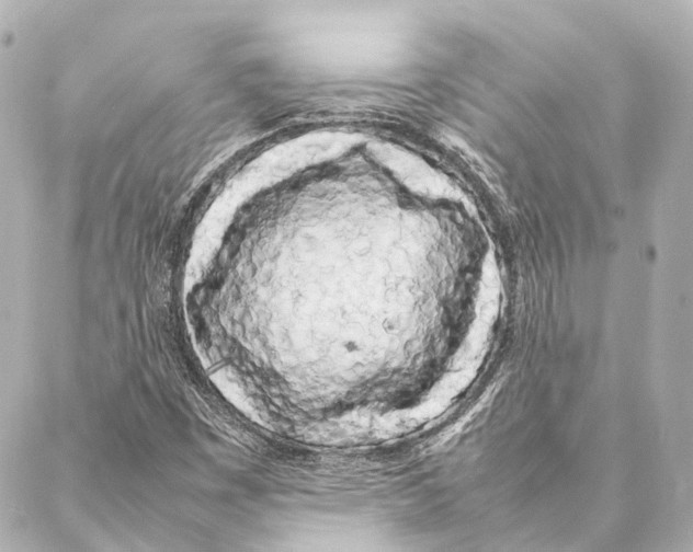 X0000086991449200705141729