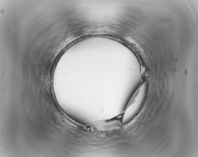 X0000086991457200705141729