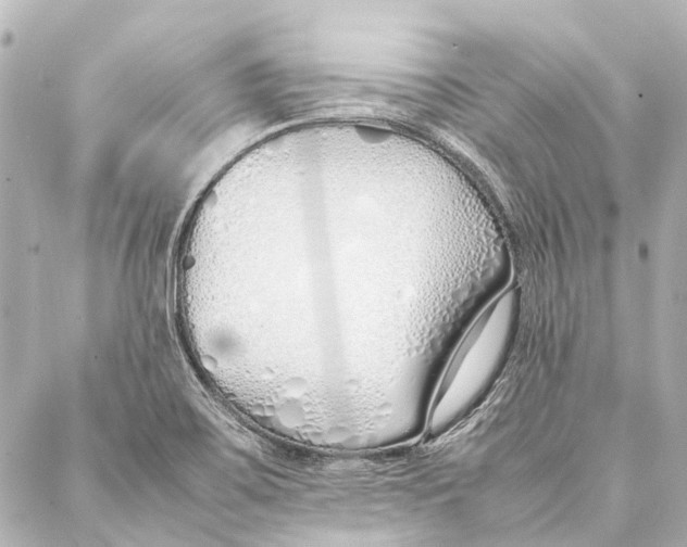 X0000086991467200705141729
